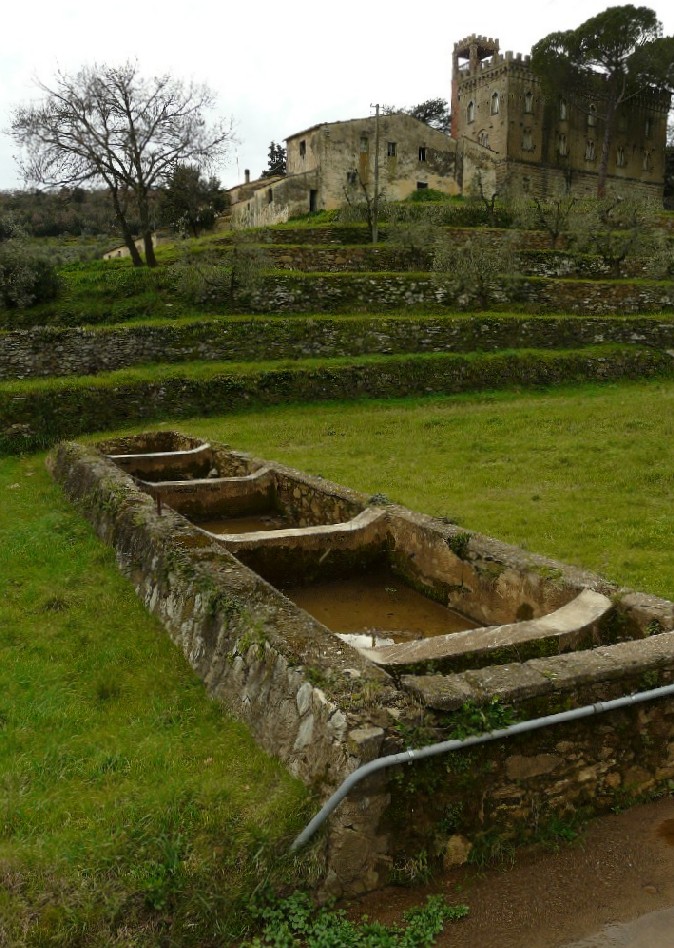 Fontanili della Toscana